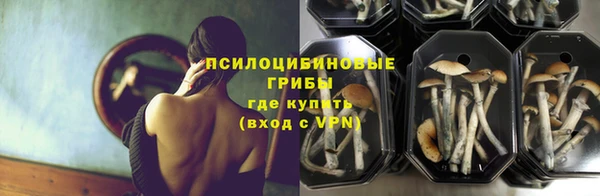 СК Аркадак