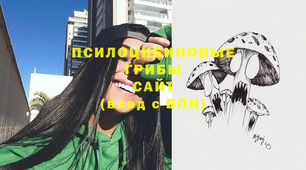 spice Армянск