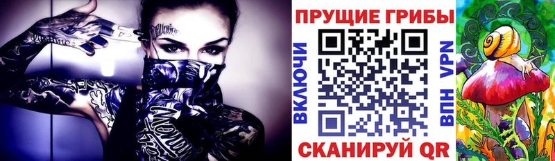 Псилоцибиновые грибы Psilocybe  наркотики  Каменногорск 